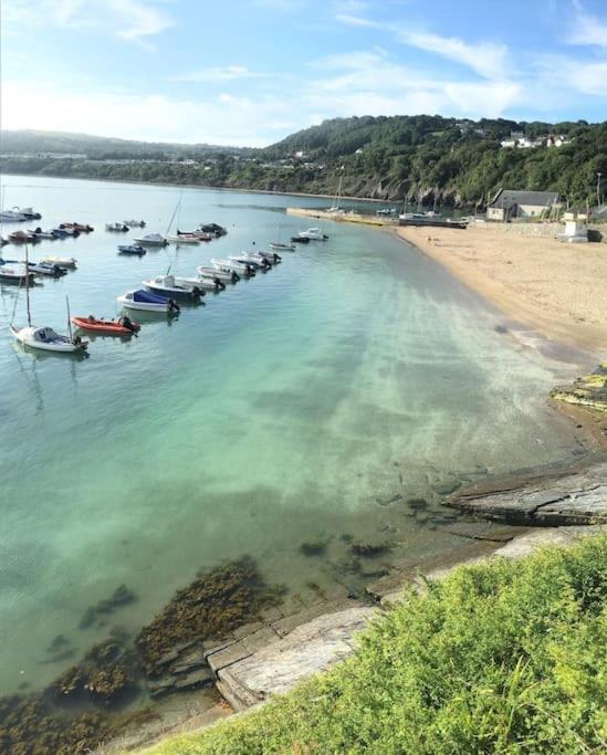Willa Awelfryn New Quay  Zewnętrze zdjęcie